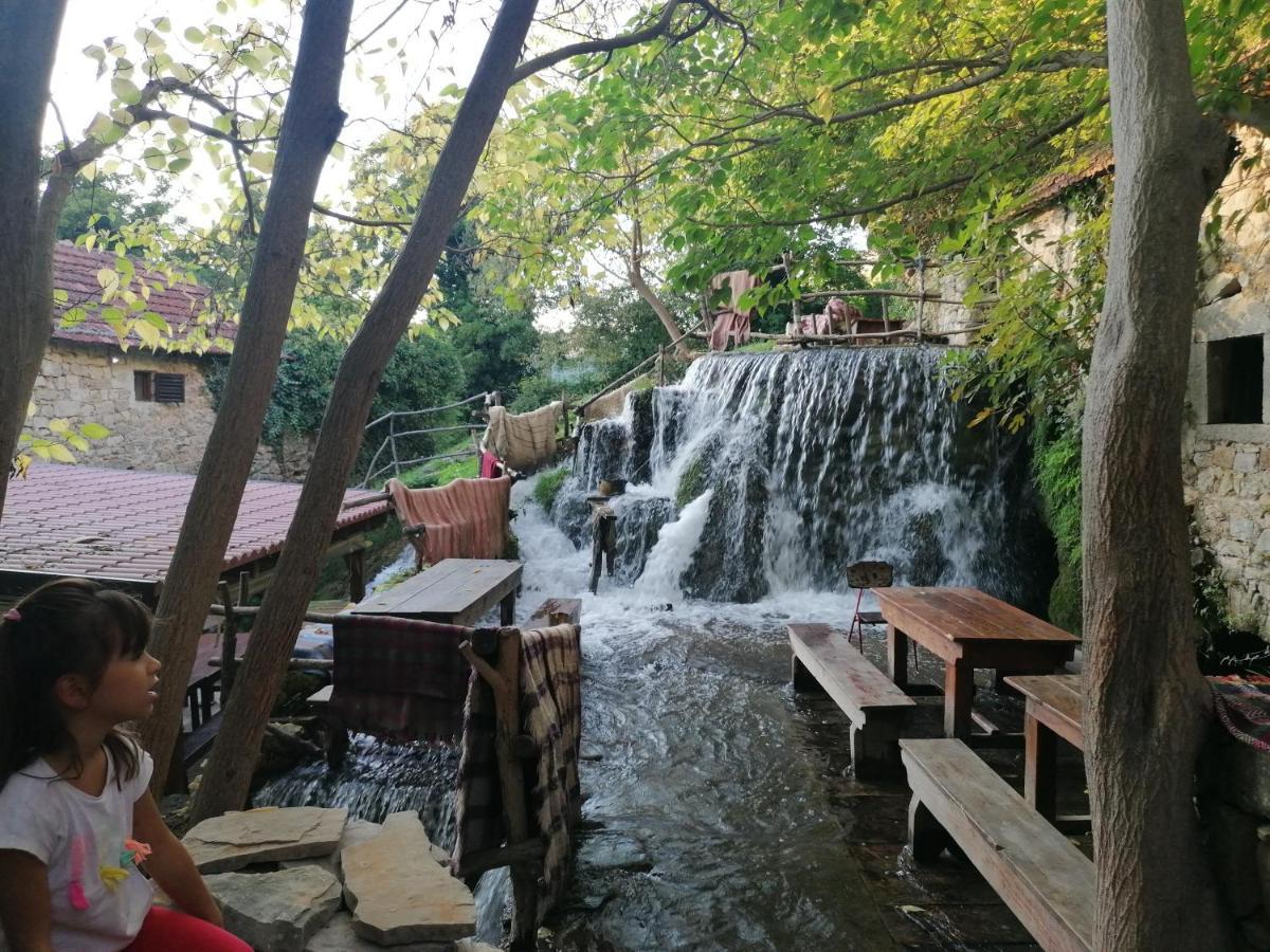 Villa Scolopax Rusticola Skradin With Heated Pool エクステリア 写真