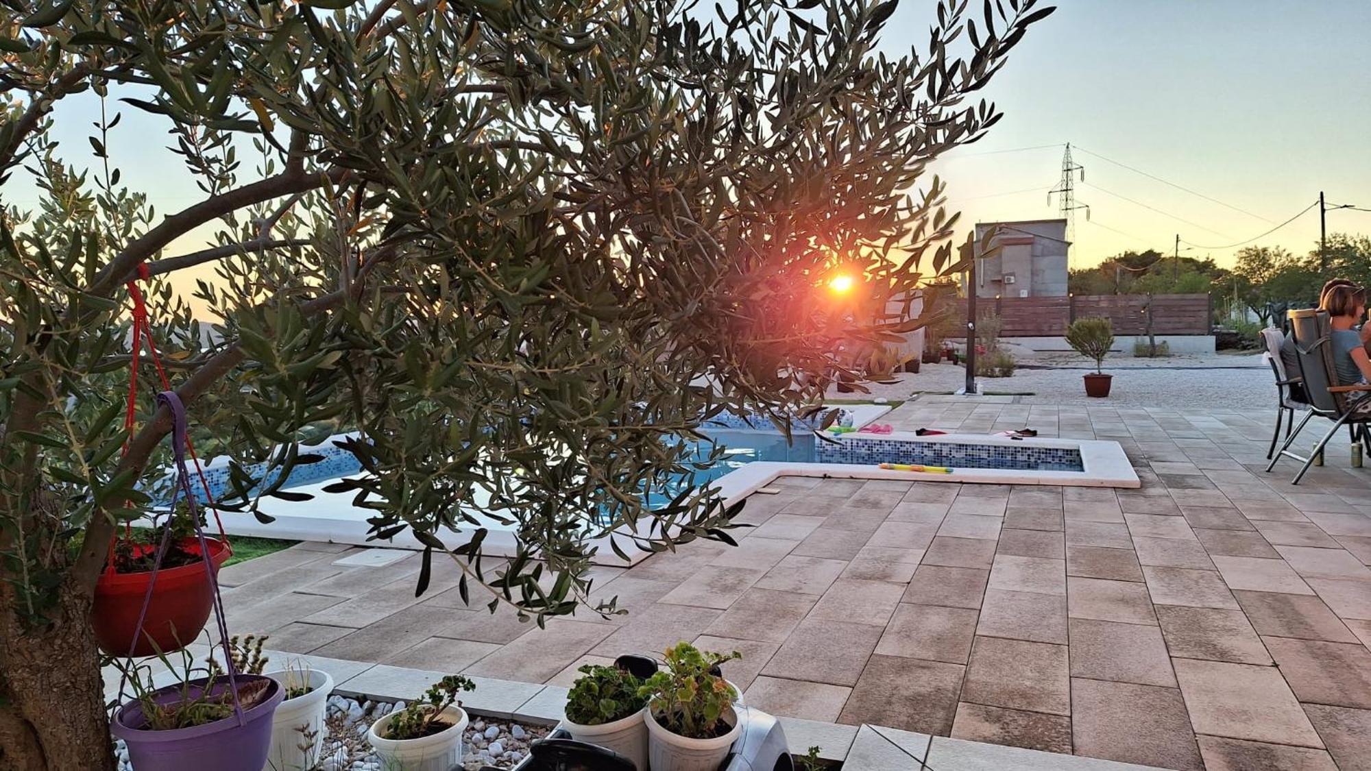 Villa Scolopax Rusticola Skradin With Heated Pool エクステリア 写真